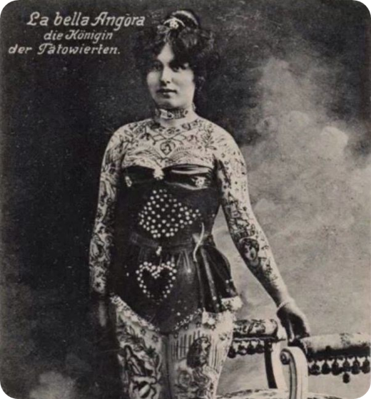 La Bella Angora